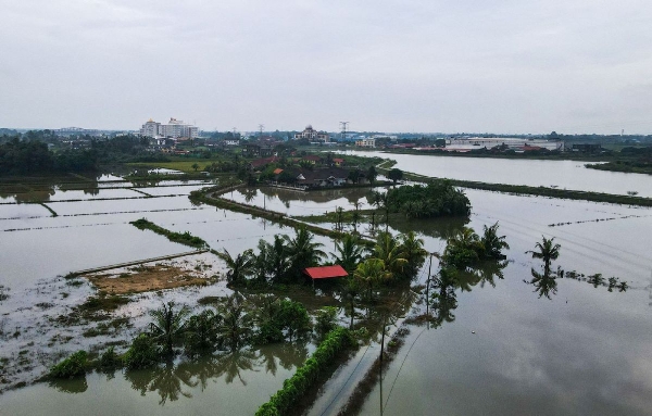 674d4efca310f1268d85e6f9