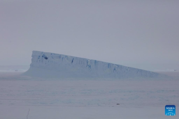 20241130c8f3b82a31b341ddaa742ce4393e7955_2024113091b41fd67f9b4a85a6e2dd7c703c64c9