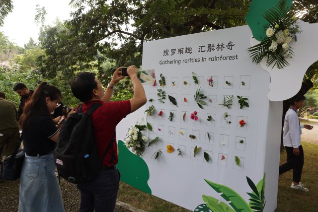 20241209202356LX0M6H