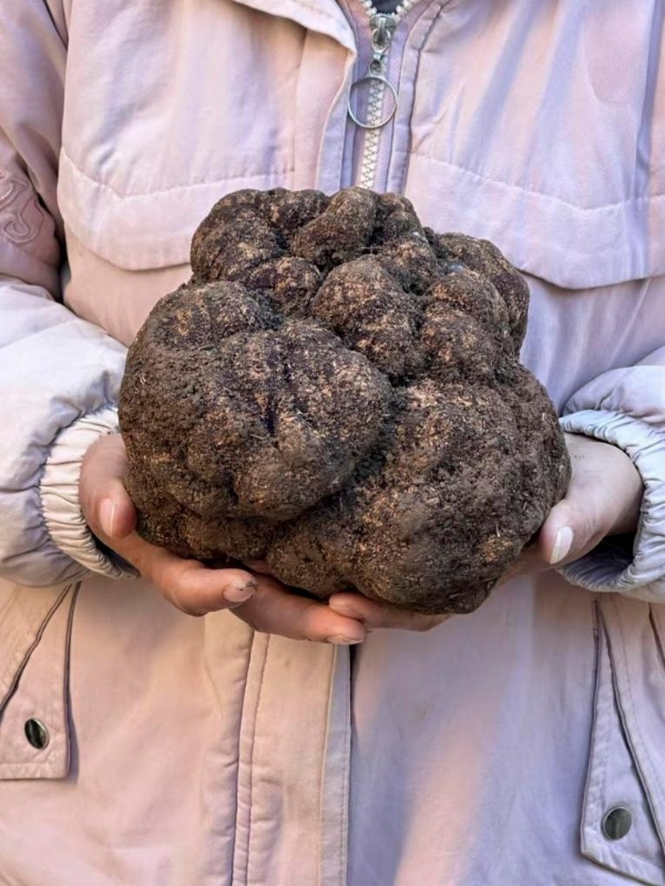 2024121554efb43298234afcb4208cc23613190a_bae9ea7f16b144e7bf488be5d4d2502d 2024121554efb43298234afcb4208cc23613190a_bae9ea7f16b144e7bf488be5d4d2502d