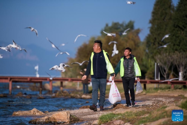 202412124f14a4e40ae740ee8baecd24ae086699_20241212b05e1392dda04fd597ed6039ebbf7556