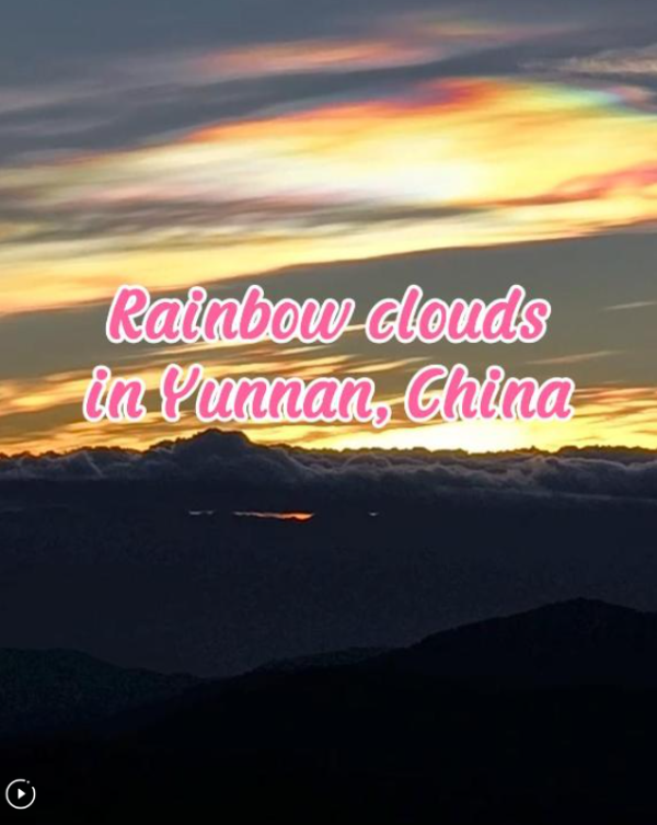 微信圖片_20241224152345 微信圖片_20241224152345