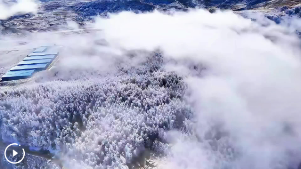 微信圖片_20241226170906 微信圖片_20241226170906