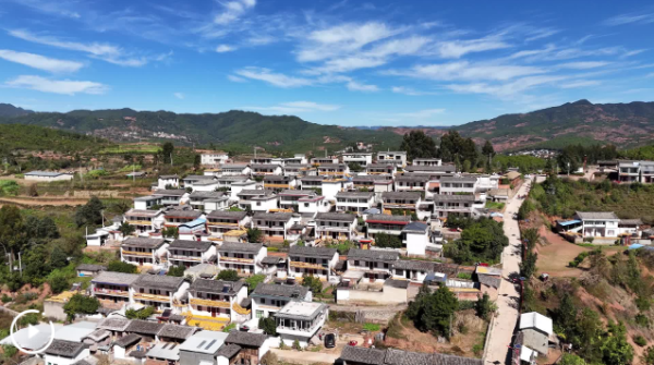 微信圖片_20241226172102 微信圖片_20241226172102