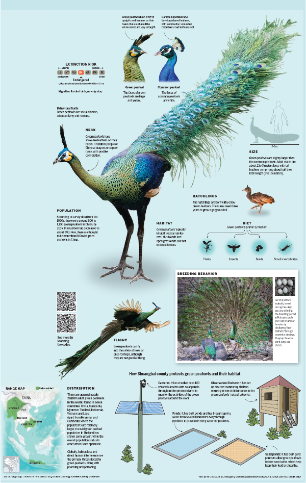 67733f7ba310f1268d87893c 67733f7ba310f1268d87893c