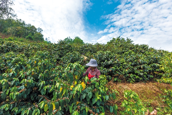 6774a8efa310f1268d879fd6