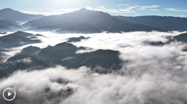 微信圖片_20250103164815