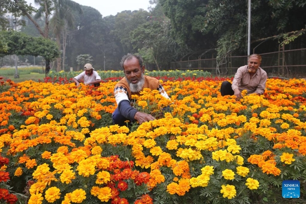 2025010901894b0f5f834a51acdac6a6ea6e470a_20250109ae148dae68614875b8c25855b444c469