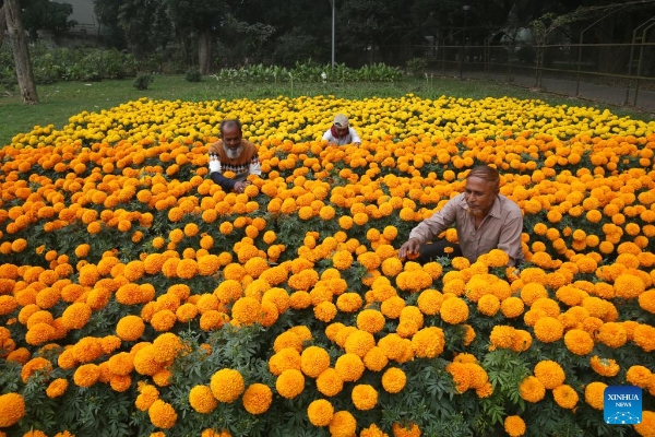 2025010901894b0f5f834a51acdac6a6ea6e470a_20250109e5c3e41499364bdb8370e8e9736d79a9