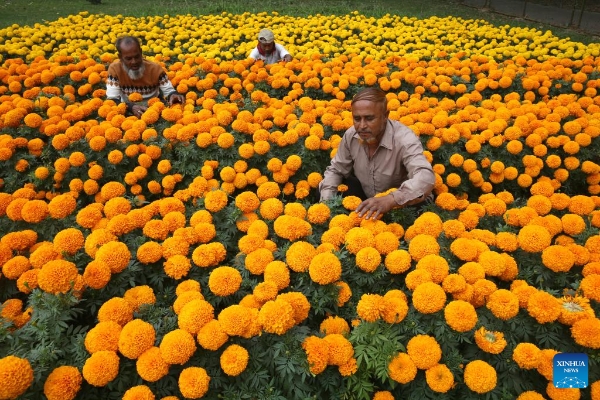 2025010901894b0f5f834a51acdac6a6ea6e470a_202501099f876b9e44ee46828151d408e18ce07d