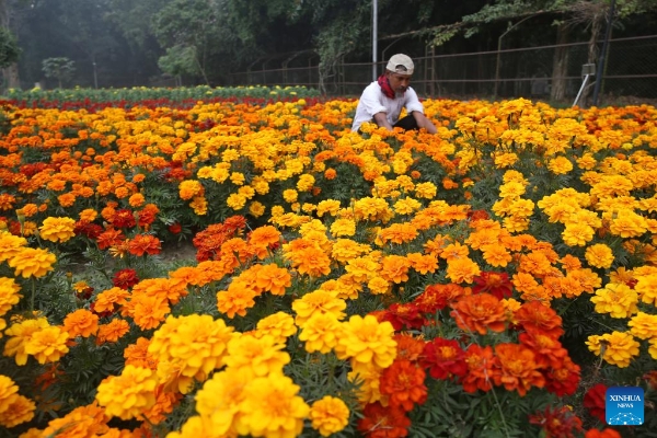 2025010901894b0f5f834a51acdac6a6ea6e470a_20250109d8b076cf6a0447eab4cf6605ca20812f