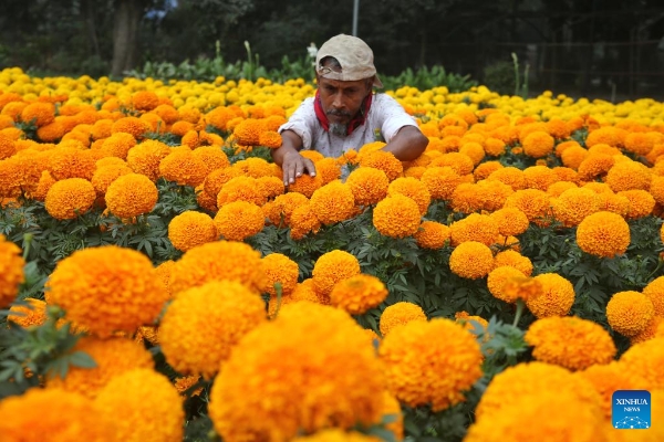 2025010901894b0f5f834a51acdac6a6ea6e470a_20250109e8e81abe95d34b03be11ef45e31f5f41