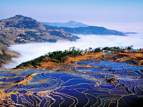 服務(wù)紅河哈尼梯田智慧景區(qū)票務(wù)項(xiàng)目
