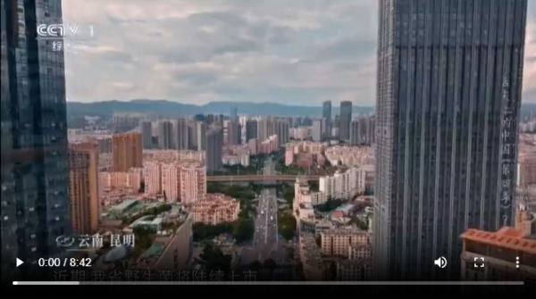 微信圖片_20250207162345