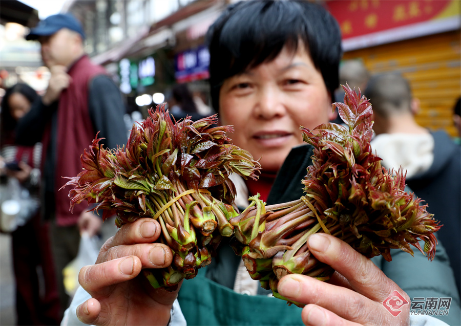 1824331_2048x2048 1824331_2048x2048