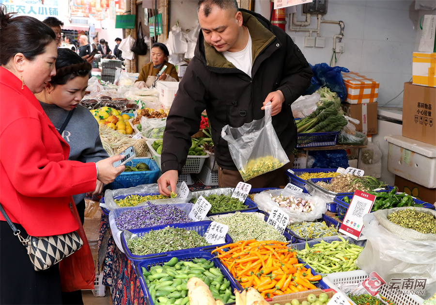 1824332_2048x2048 1824332_2048x2048