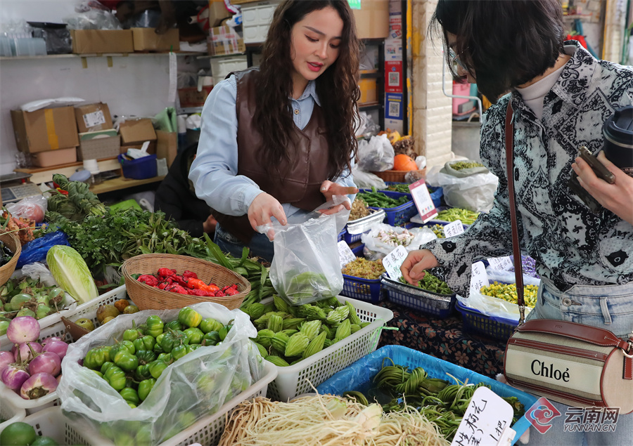 1824333_2048x2048 1824333_2048x2048