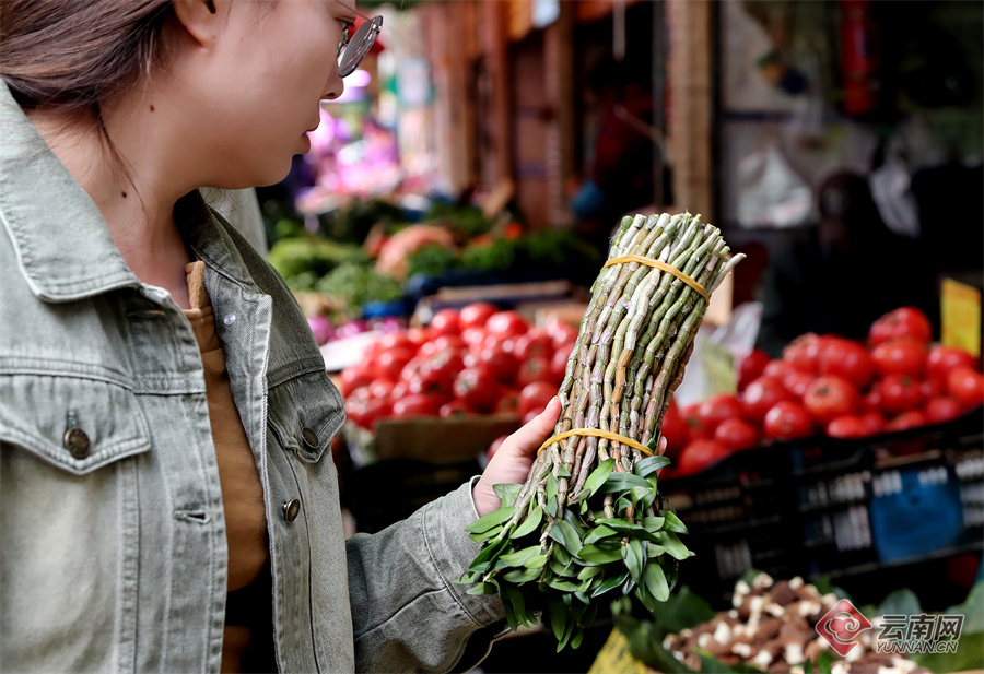 1824335_2048x2048 1824335_2048x2048