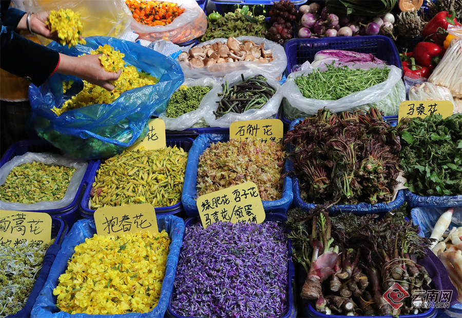 1824337_2048x2048 1824337_2048x2048