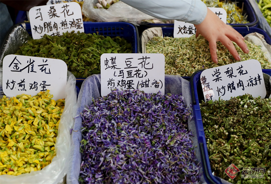 1824338_2048x2048 1824338_2048x2048