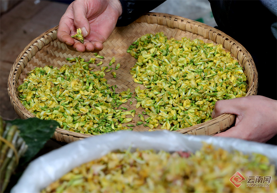 1824341_2048x2048 1824341_2048x2048