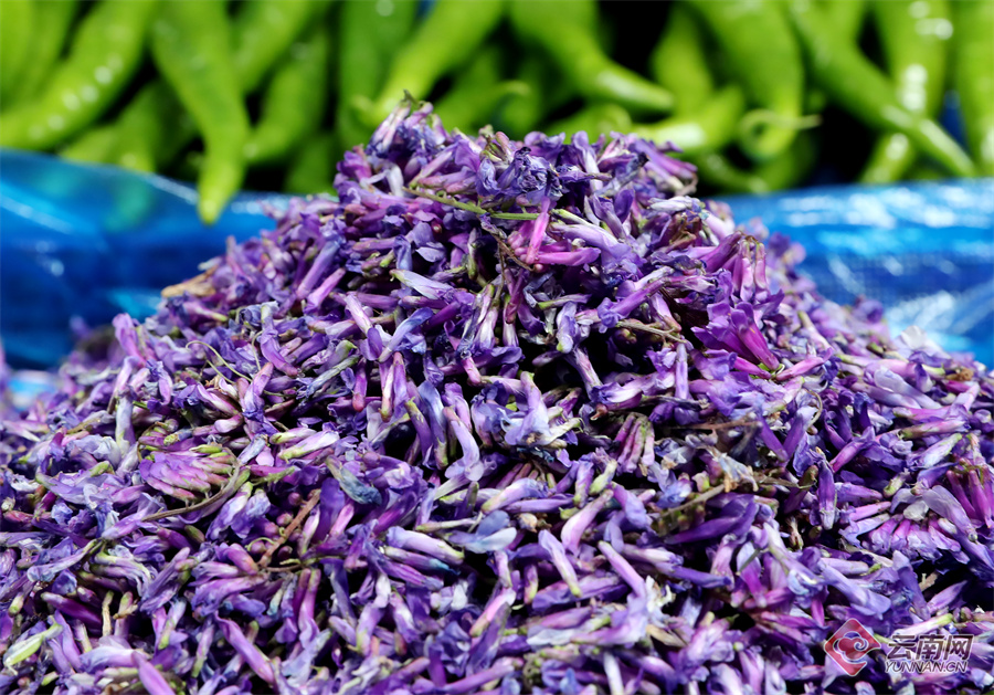 1824342_2048x2048 1824342_2048x2048