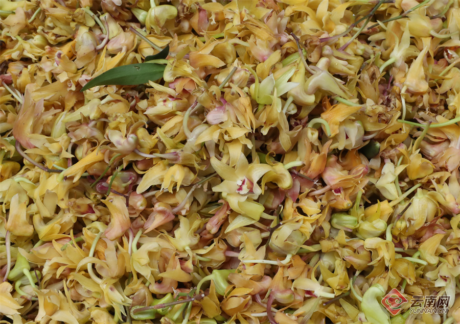 1824343_2048x2048 1824343_2048x2048