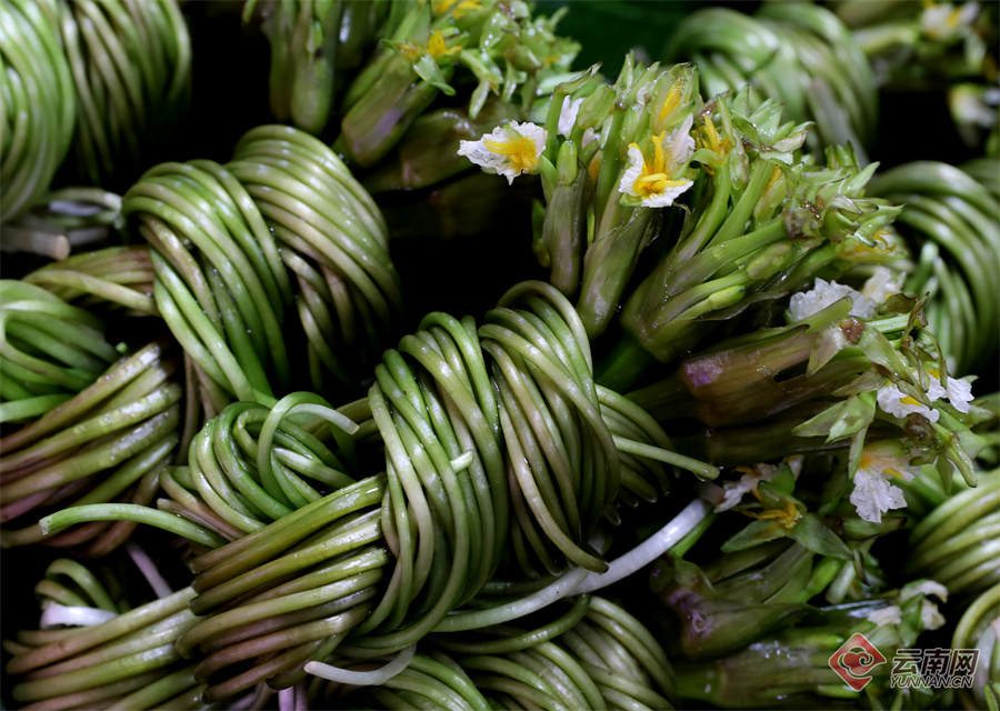 1824345_2048x2048 1824345_2048x2048