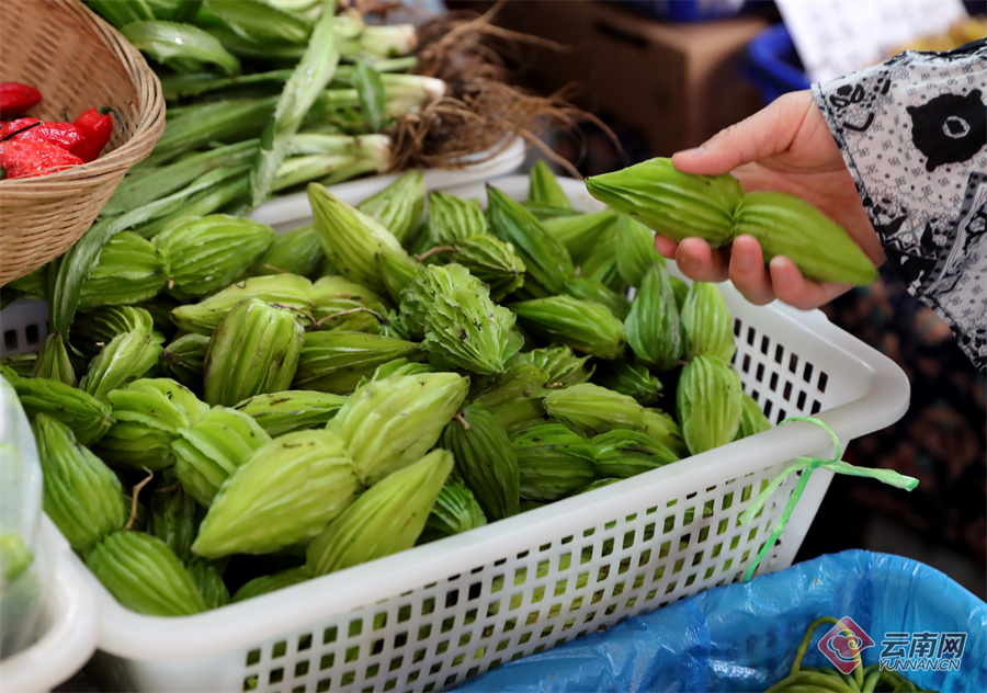 1824346_2048x2048 1824346_2048x2048