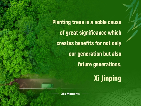 67d0fac4a310c240e2426a90 67d0fac4a310c240e2426a90