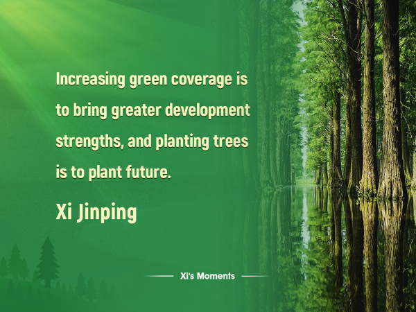 67d0fac4a310c240e2426a86 67d0fac4a310c240e2426a86