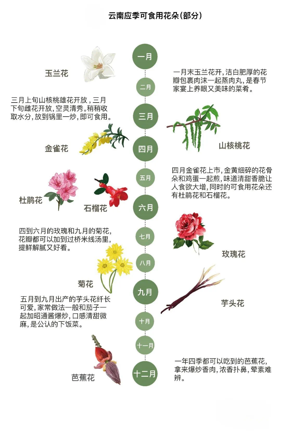 圖源：企鵝吃喝指南