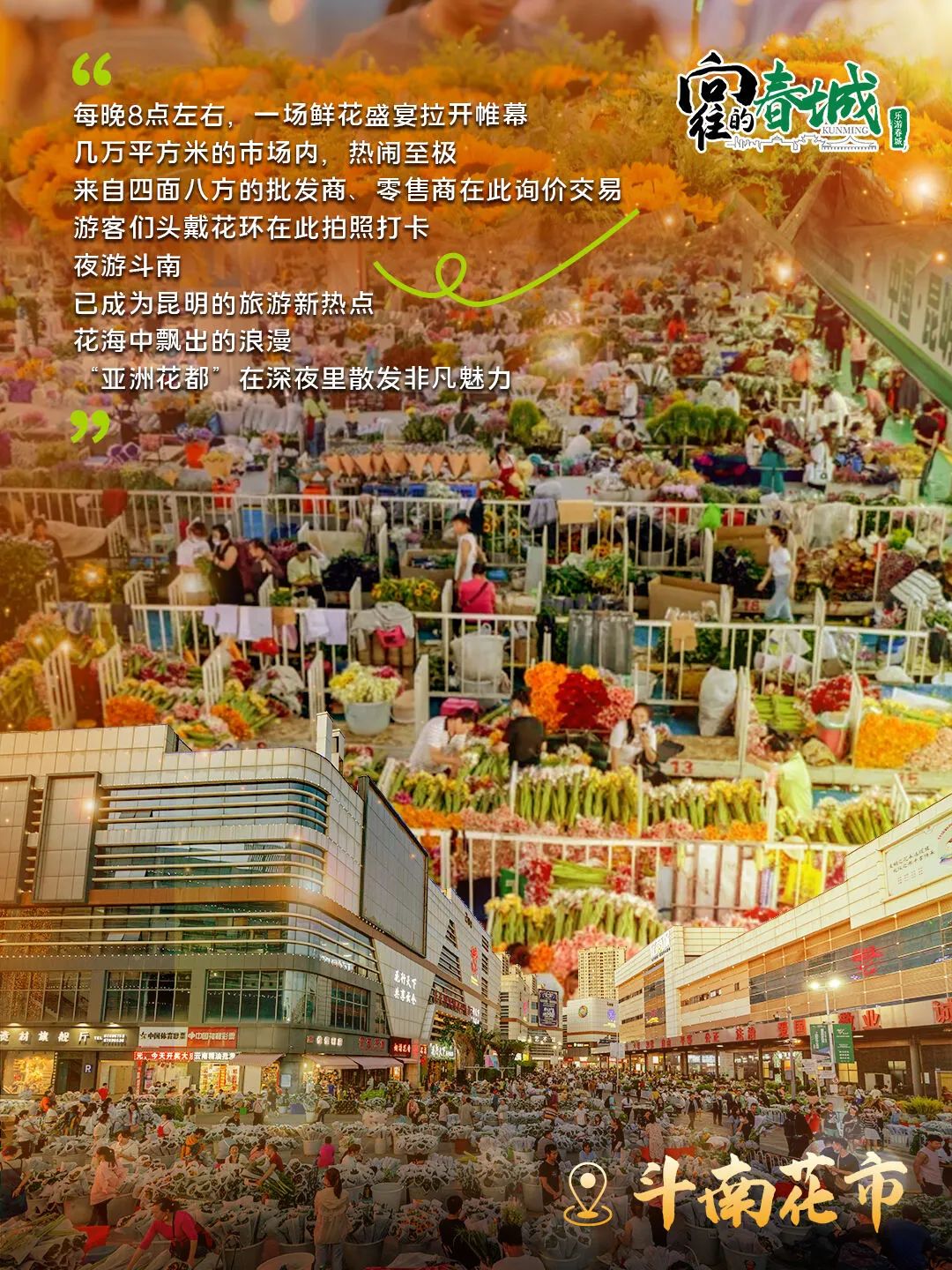 斗南花市 斗南花市