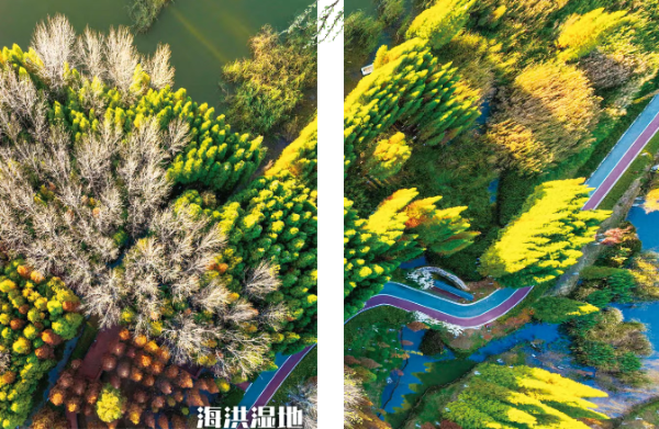 微信圖片_20250318150403