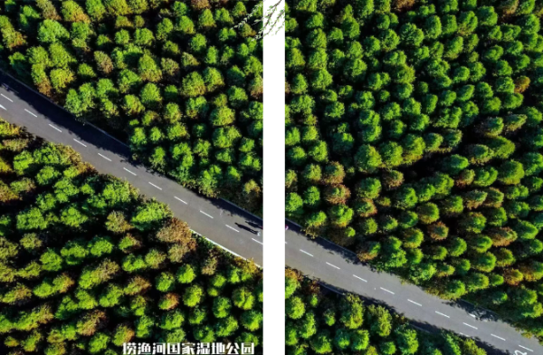 微信圖片_20250318150729