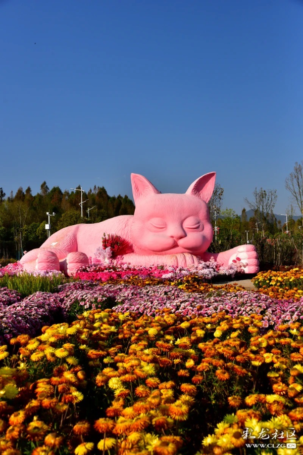 彩龍網(wǎng)友銅鐘攝