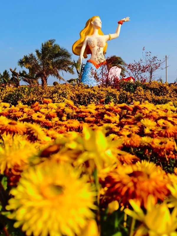 彩龍網(wǎng)友五月紅攝