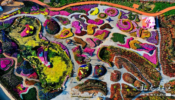 彩龍用戶邊凡攝