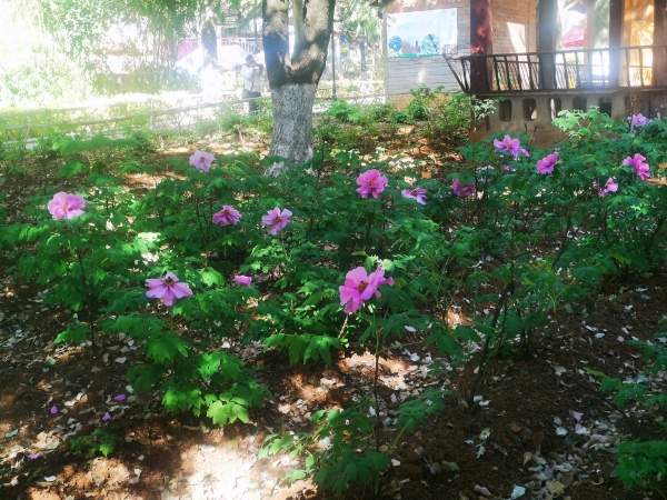 微信圖片_20250304170752