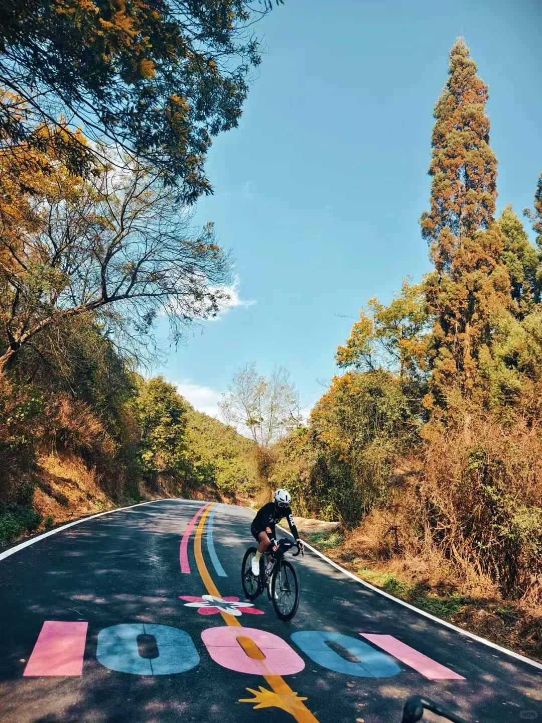 微信圖片_20250324171420