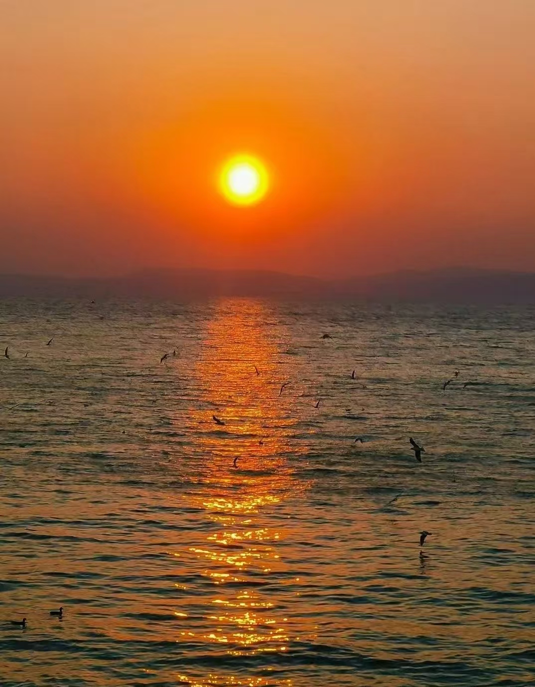 圖源:海之晏文旅 圖源:海之晏文旅