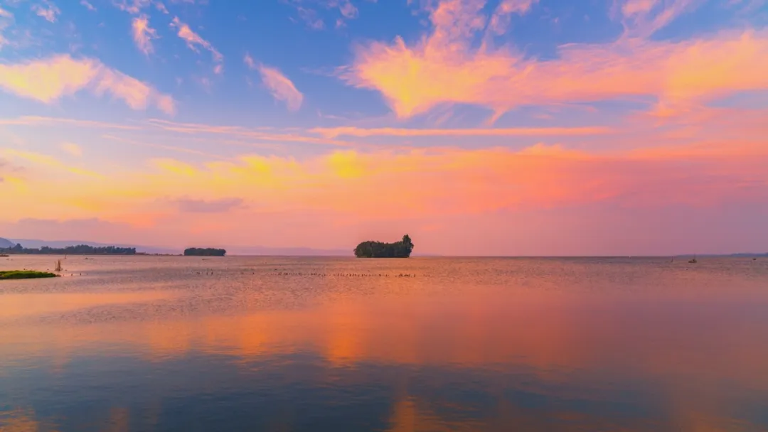 圖源:昆明文旅 圖源:昆明文旅