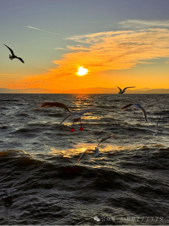 圖源:AA默默了了了了了又微公號(hào) 圖源:AA默默了了了了了又微公號(hào)