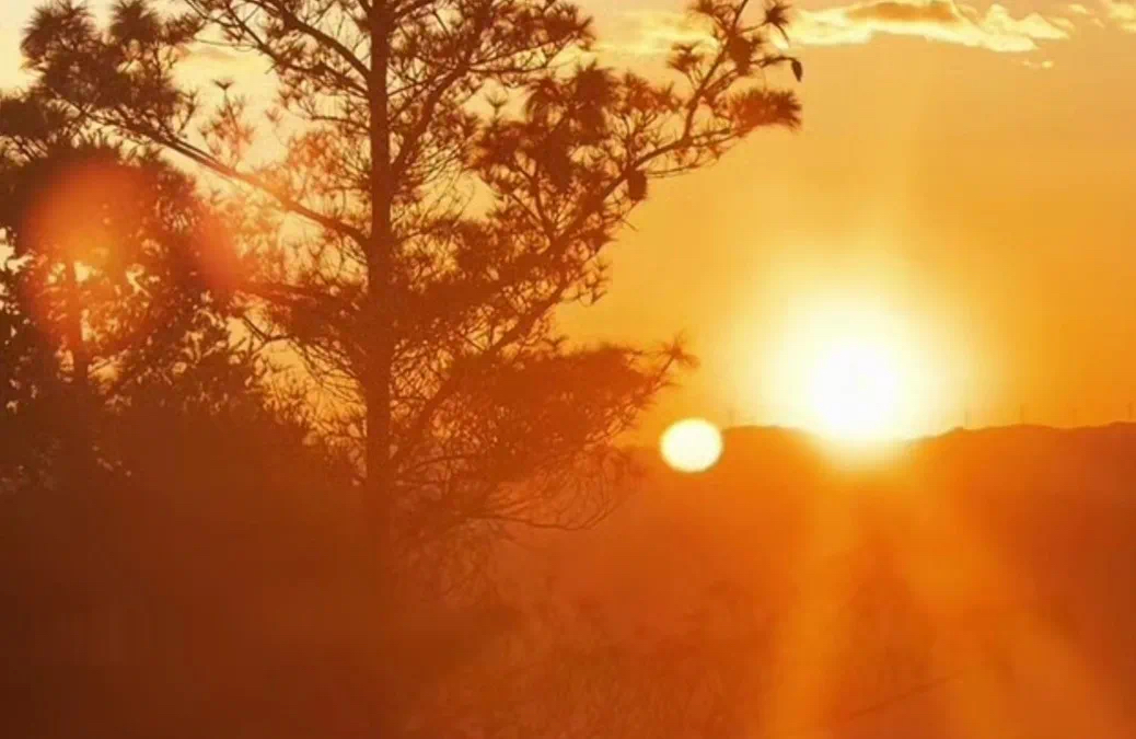 圖源:昆明西山發(fā)布1 圖源:昆明西山發(fā)布1