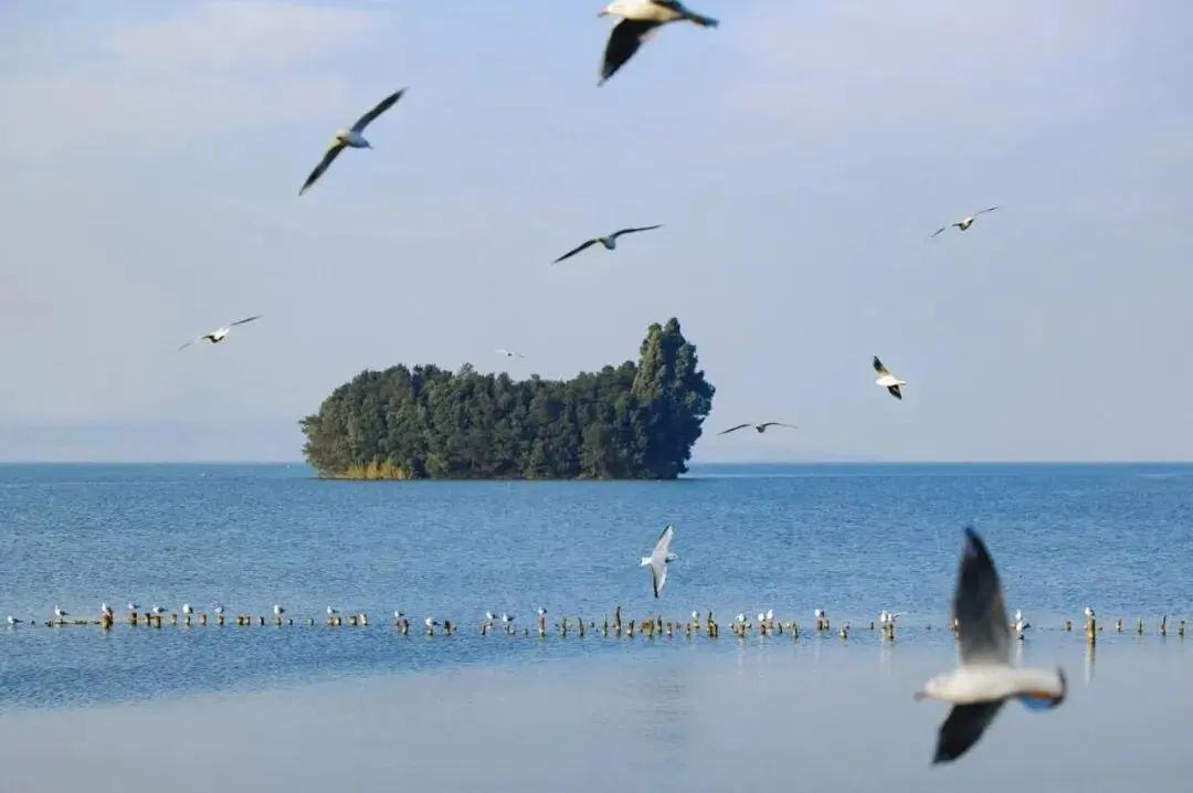 滇池網(wǎng)紅打卡點(diǎn)“鯨魚島” 圖源：昆明發(fā)布(1)