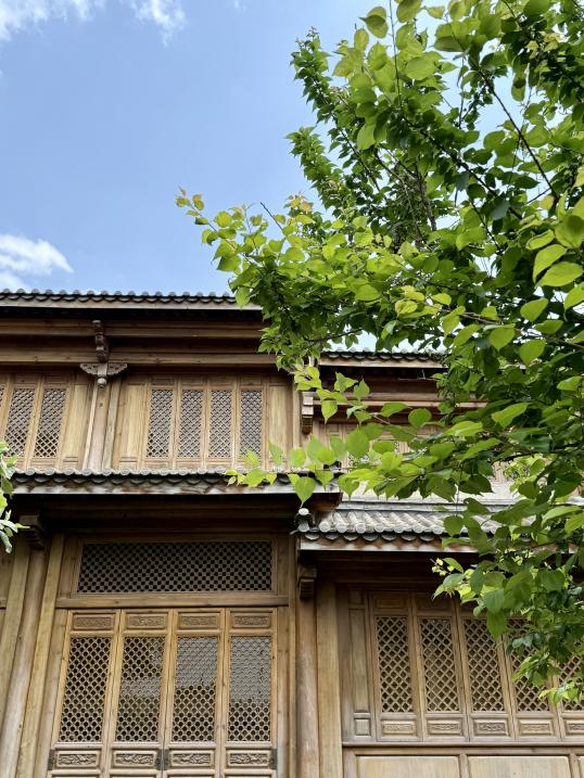 臥龍村1 臥龍村1