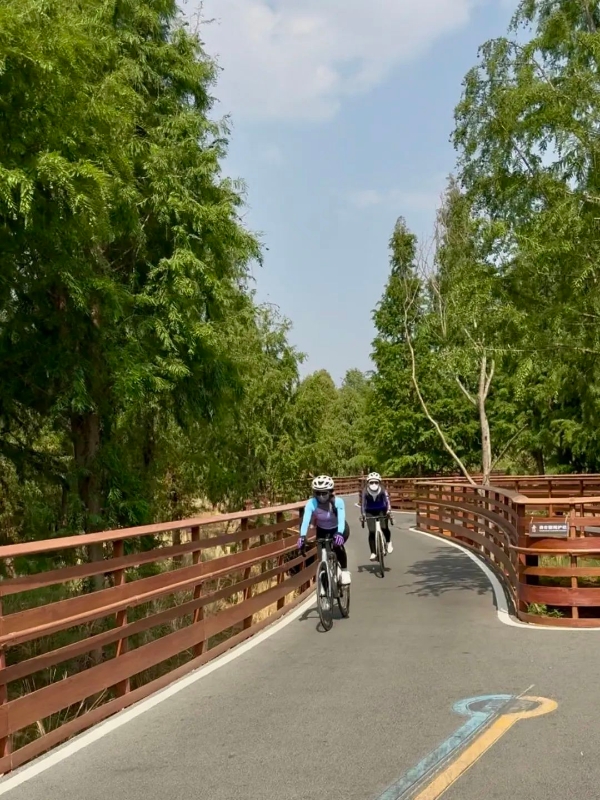 草之橋1 草之橋1