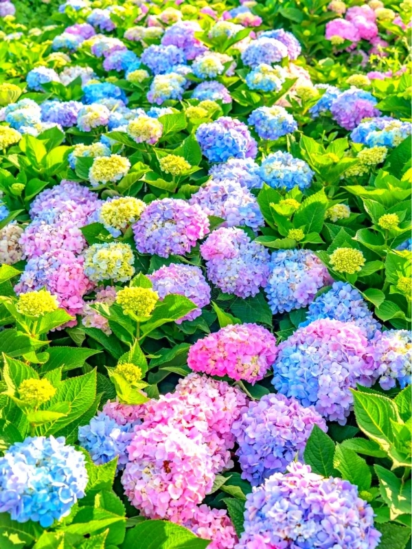 撈漁河4 撈漁河4