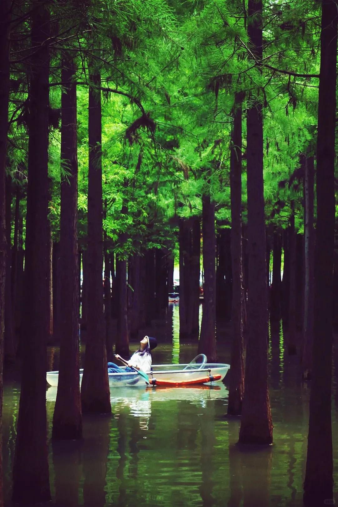 圖源：小紅書@BOOGUST(1)