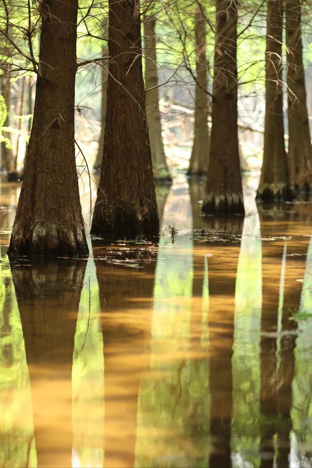 圖源：小紅書@伽瑞(1)